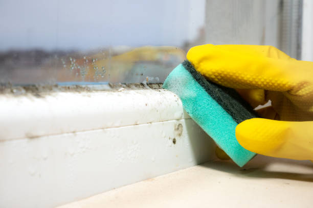 Iota, LA Mold Remediation Company